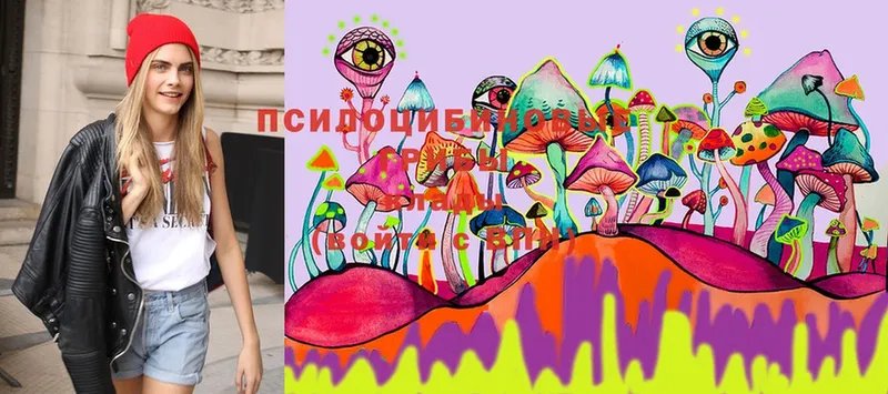 Галлюциногенные грибы MAGIC MUSHROOMS  Ейск 