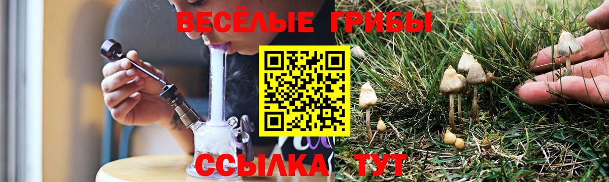 Псилоцибиновые грибы Psilocybine cubensis  Ейск 
